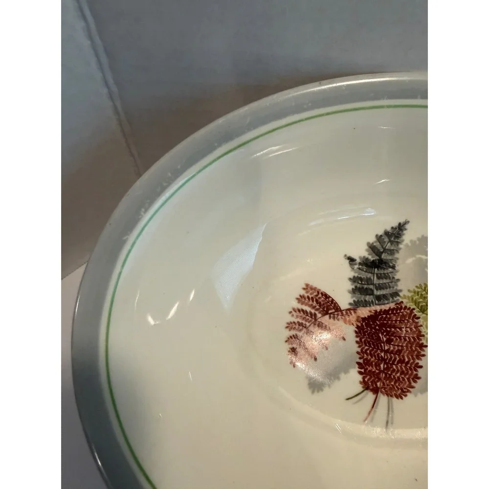 Vtg Steubenville Fern 2 Serving Dish/Vegetable Oval bowls 9